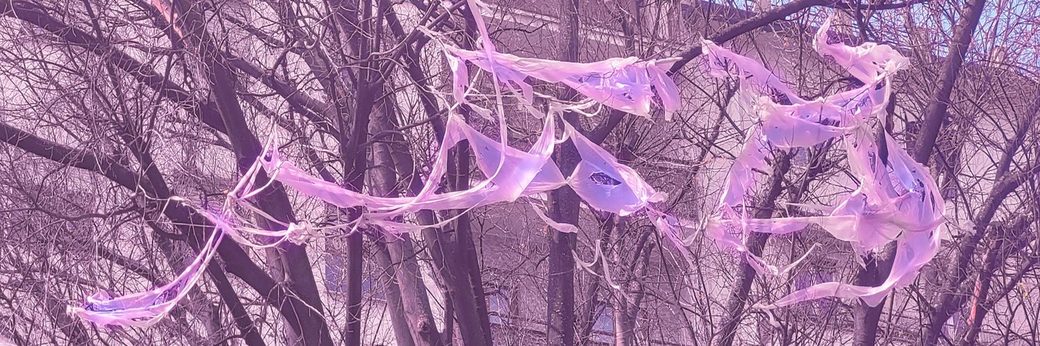 beatrixkittens's profile banner image
