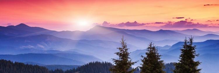 H T 🔋 🚗 🚀📈🇺🇦 banner