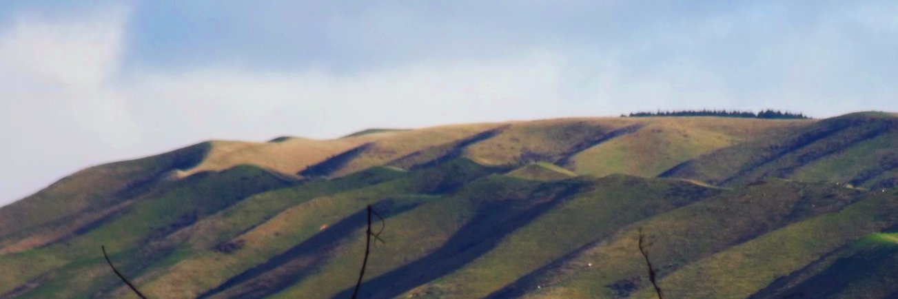 olwenw's profile banner image
