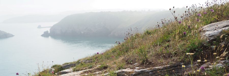 modama26's profile banner image