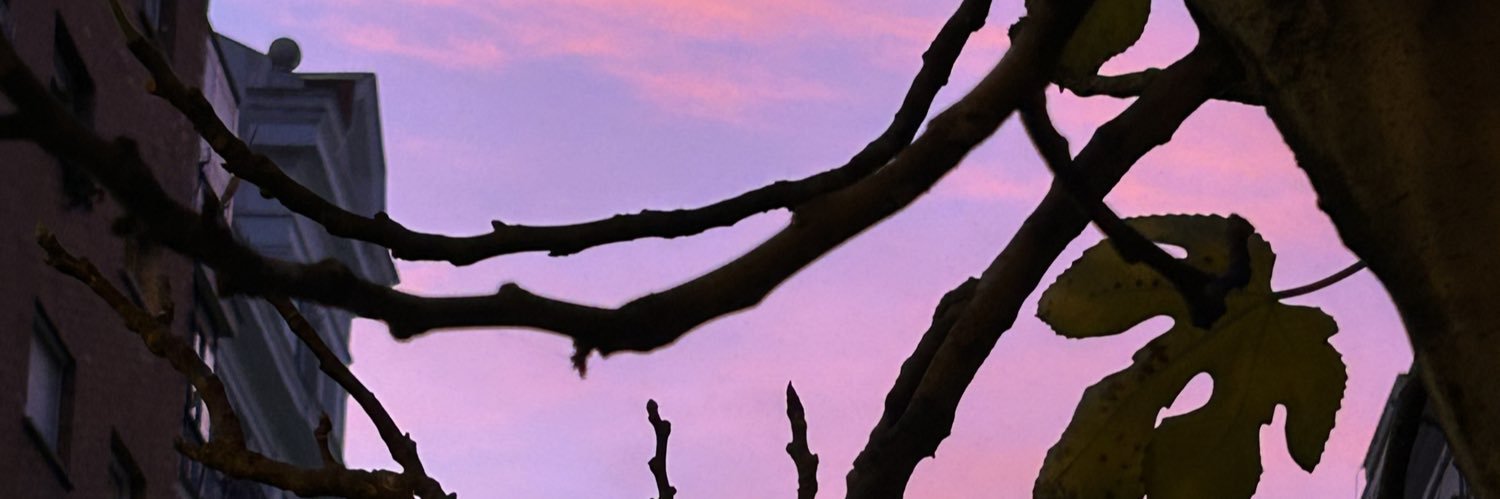 _judithhv's profile banner image