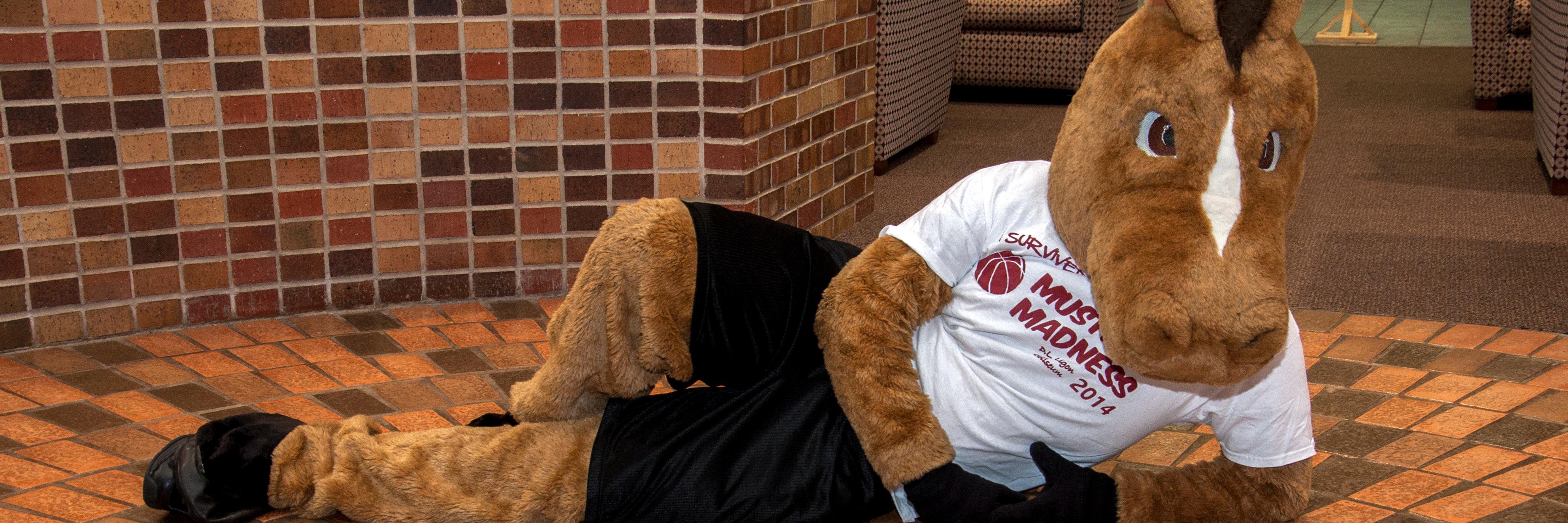 MSUMaverick's profile banner image