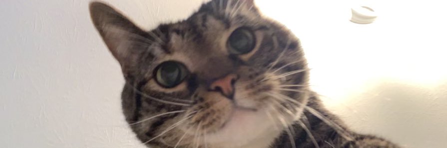 alxjpeg_'s profile banner image
