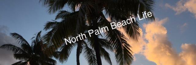 NorthPBNews's profile banner image