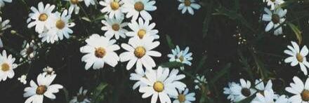 _xDaniix's profile banner image
