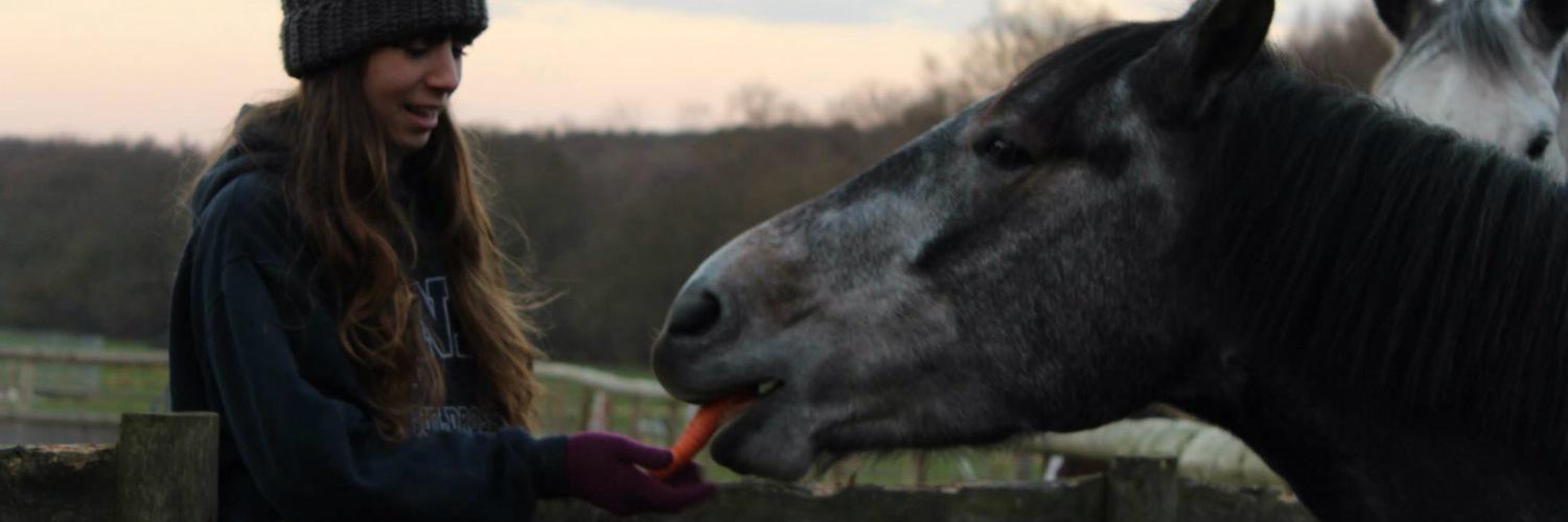 Sallyhbx's profile banner image