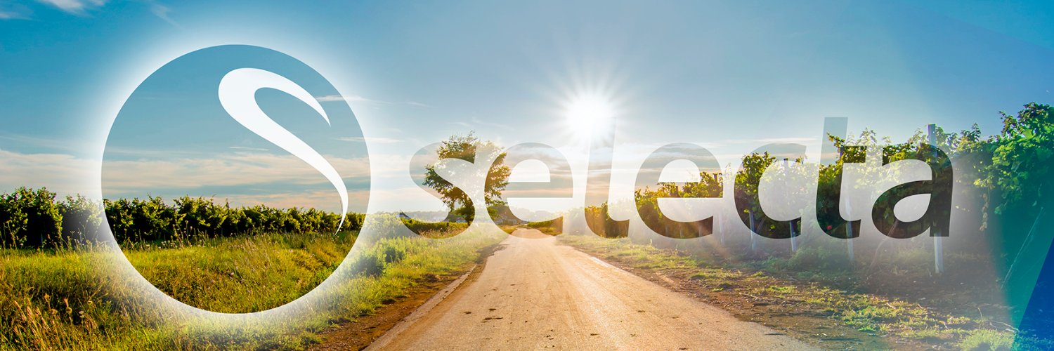 Selecta España banner