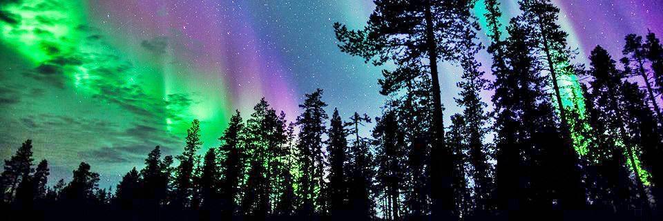 jec_x's profile banner image