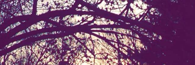 abicxv's profile banner image