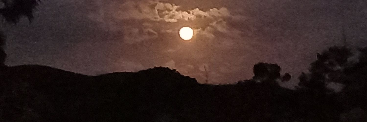 Tia do ZAP virada no Samurai 🇧🇷 banner