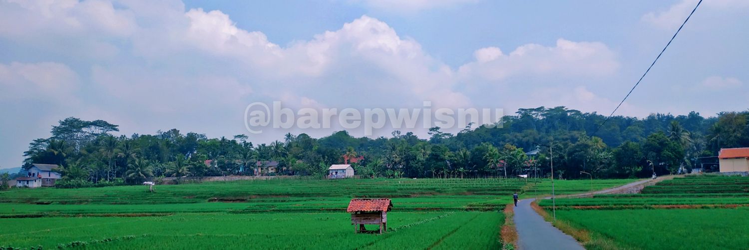 barepwisnu's profile banner image