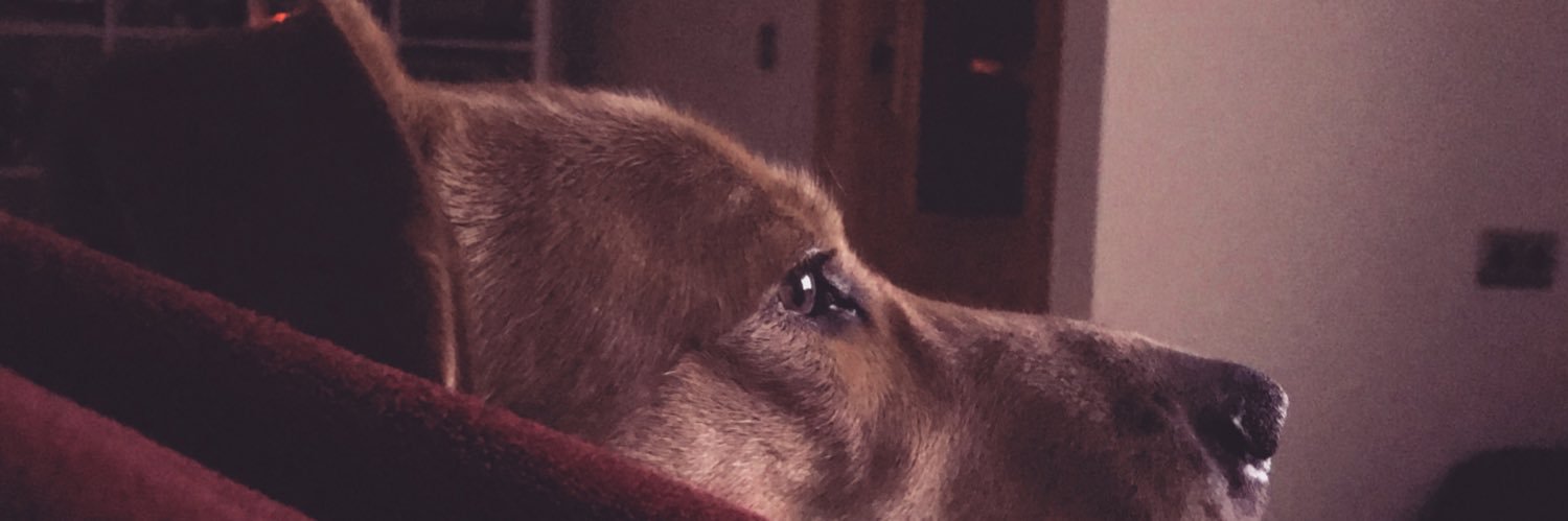 mefeper's profile banner image