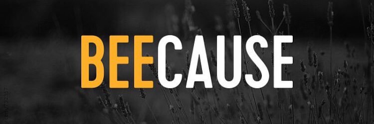 BEECAUSE's profile banner image