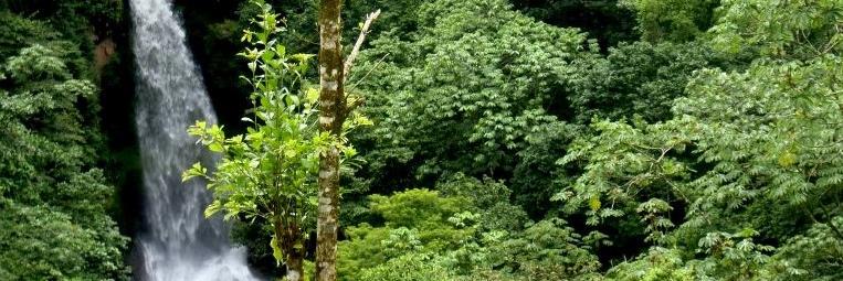 VillaTavida's profile banner image
