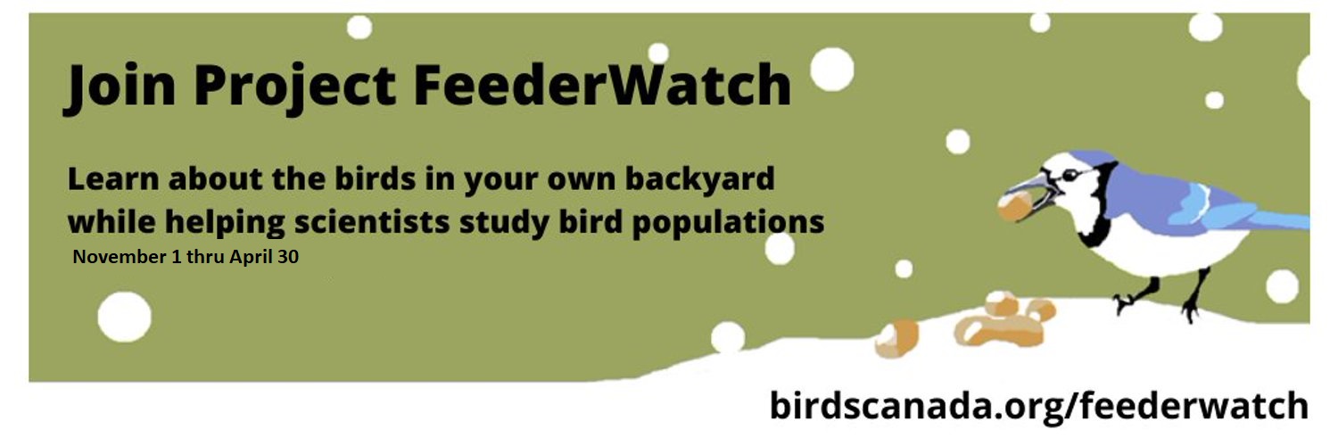 FeederWatch Canada banner