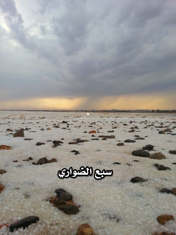 alshmeem's profile banner image