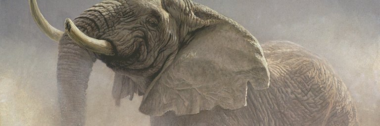 EberhardNotty's profile banner image