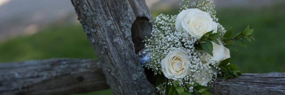 CorlissAnnette's profile banner image