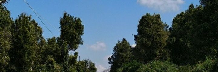 PfarisoRasimphi's profile banner image