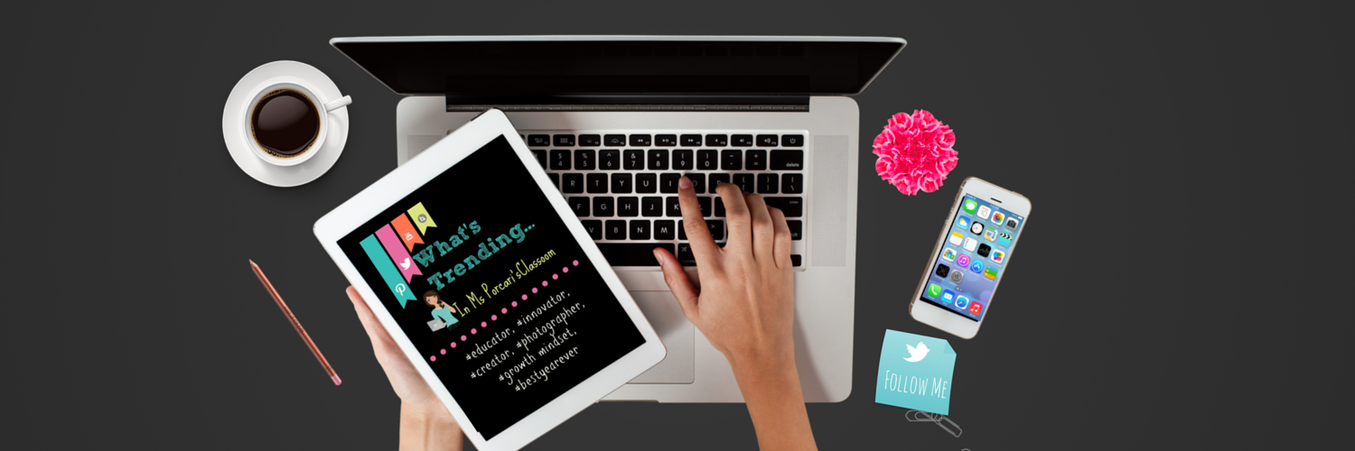 Adriana Porcari banner