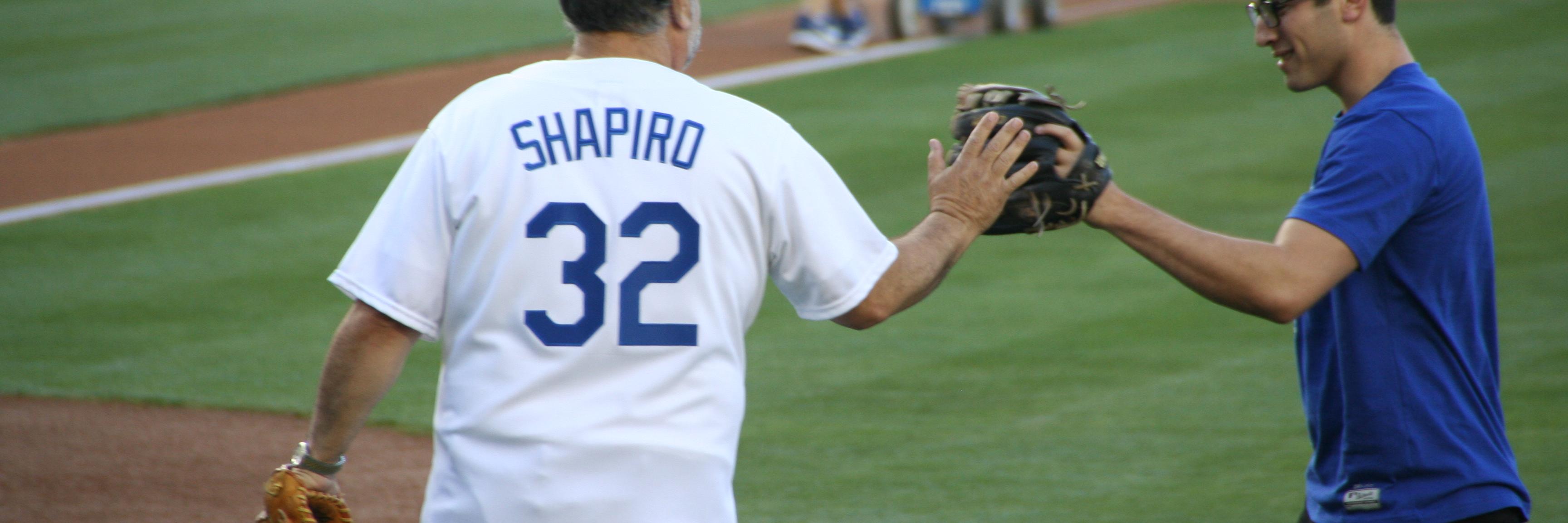 david shapiro banner