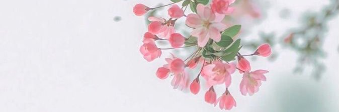 masa_2426's profile banner image