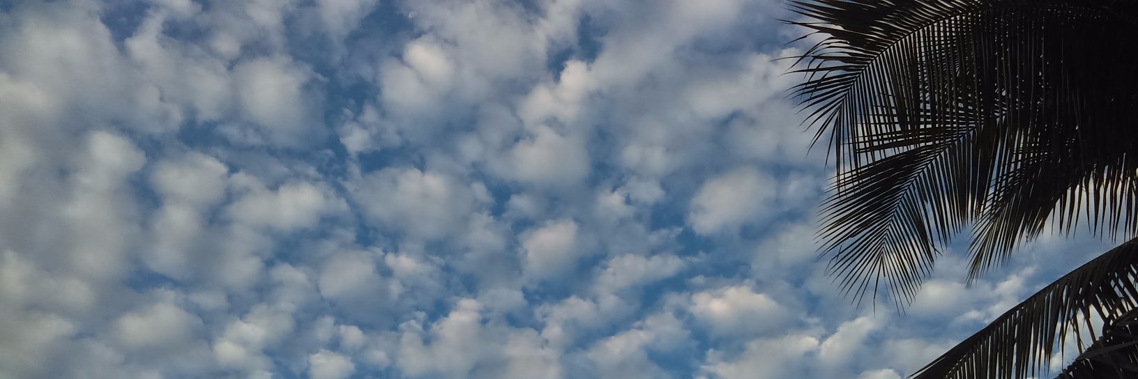 AJMC000's profile banner image