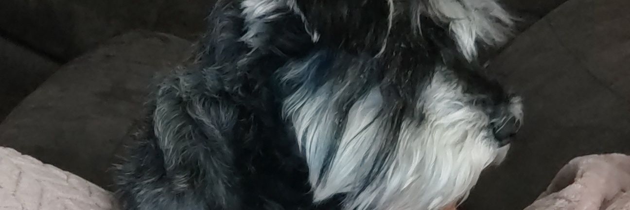Kellykid92's profile banner image