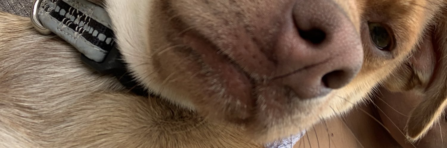 gabbatronn_'s profile banner image