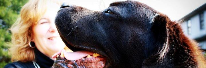 sladd55's profile banner image