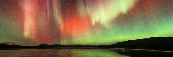 Mehak Kataria banner