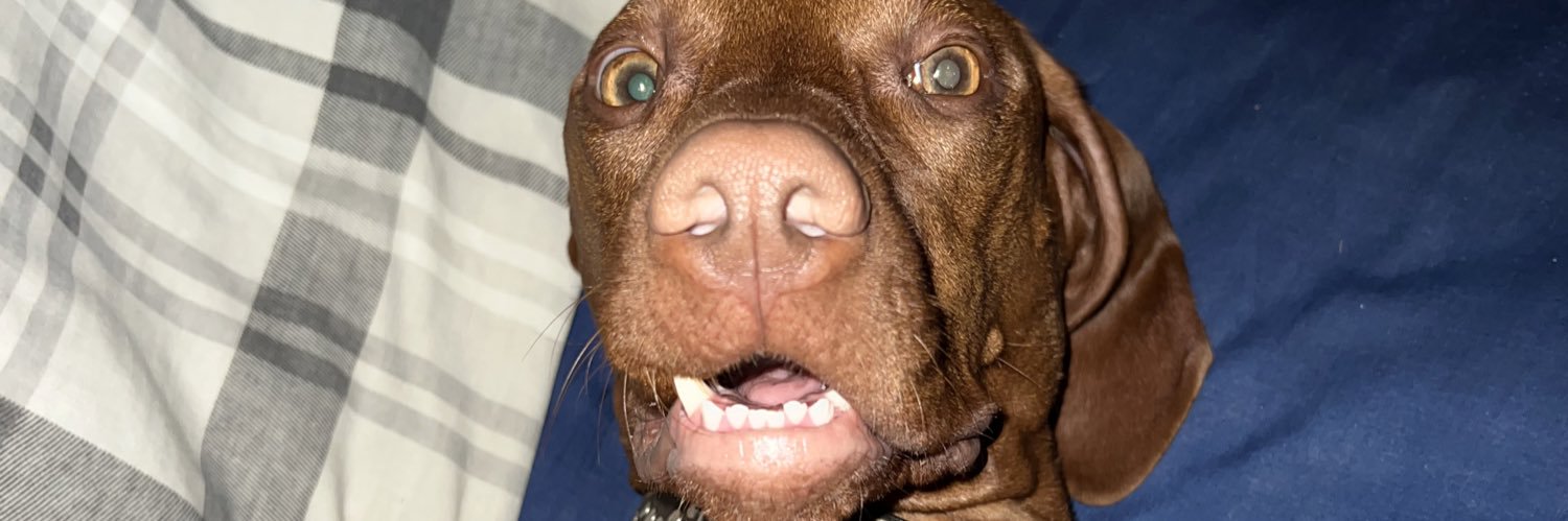 Mitchellman_1 banner