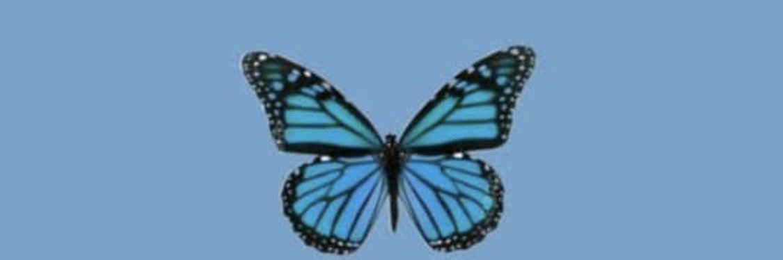haileybrooke6's profile banner image