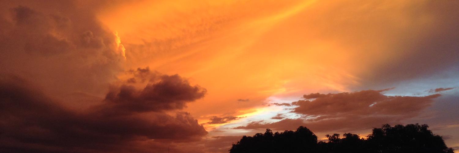 Owlx2000's profile banner image