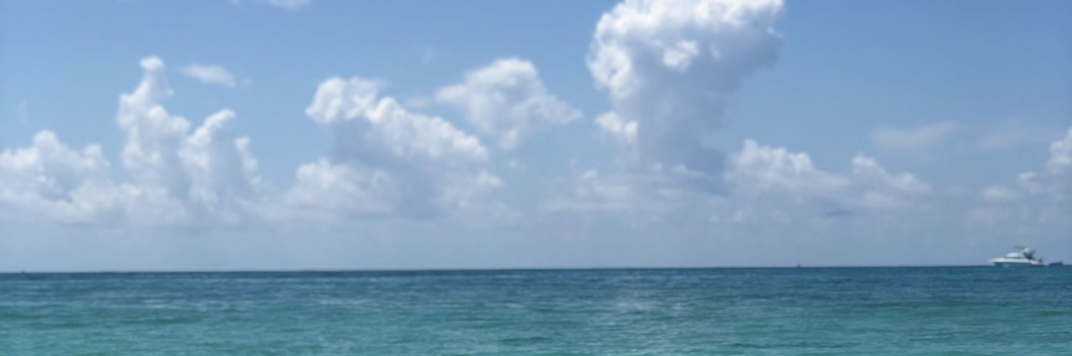 gracielapedraz1's profile banner image