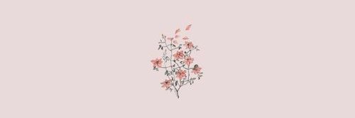 brendhaar_'s profile banner image