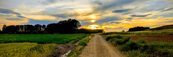 willyaranda Profile Banner