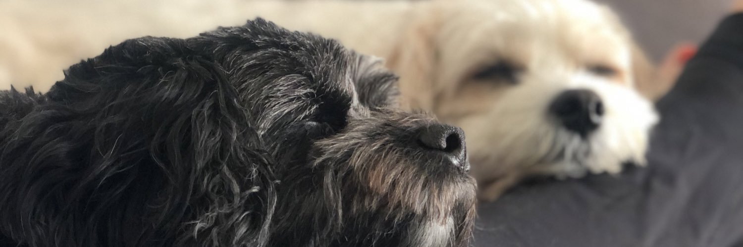 kertalert's profile banner image