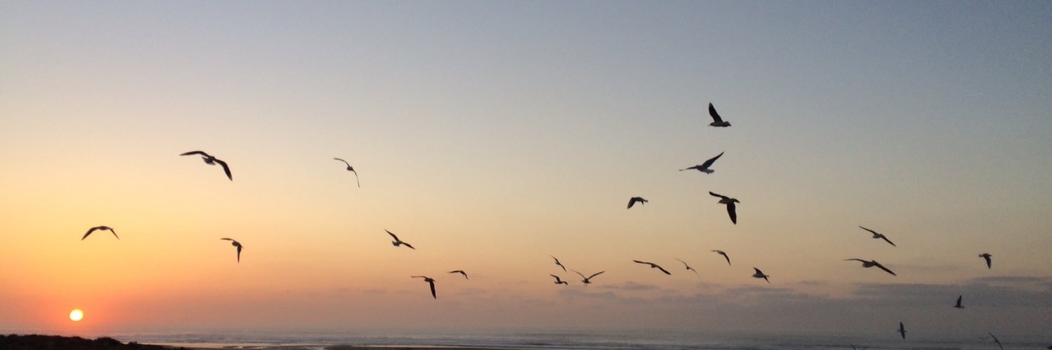 Mademoiselle_Marley banner