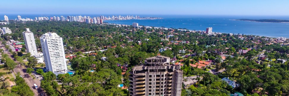 Weiss Mora Weiss banner