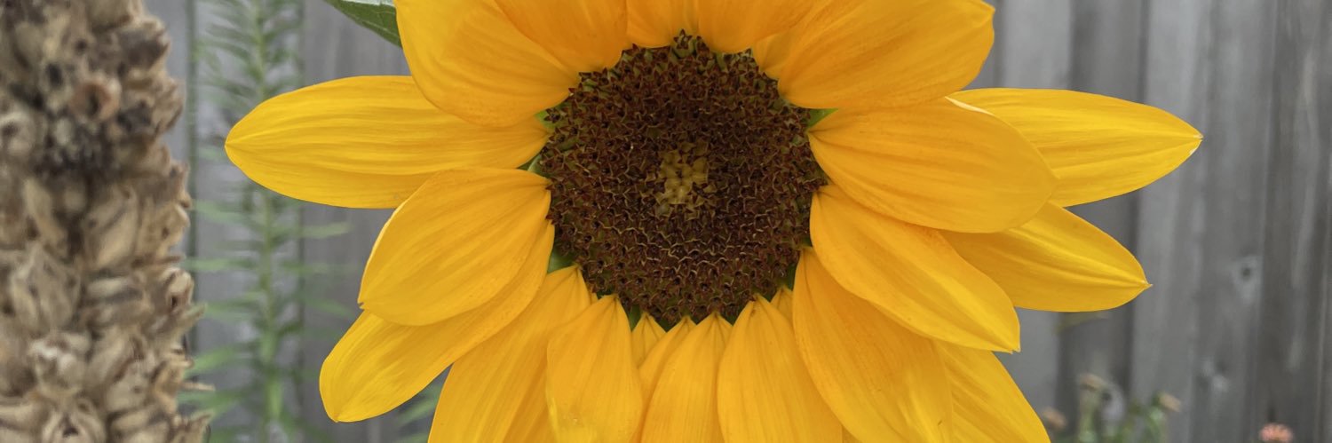mastew72's profile banner image
