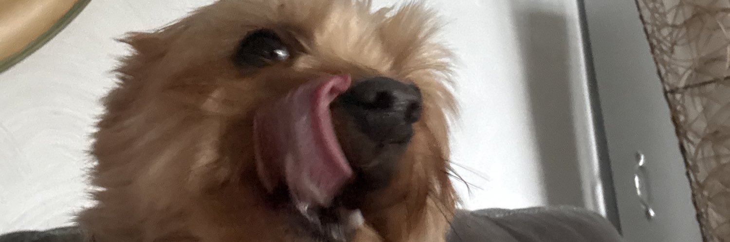 lfredley's profile banner image