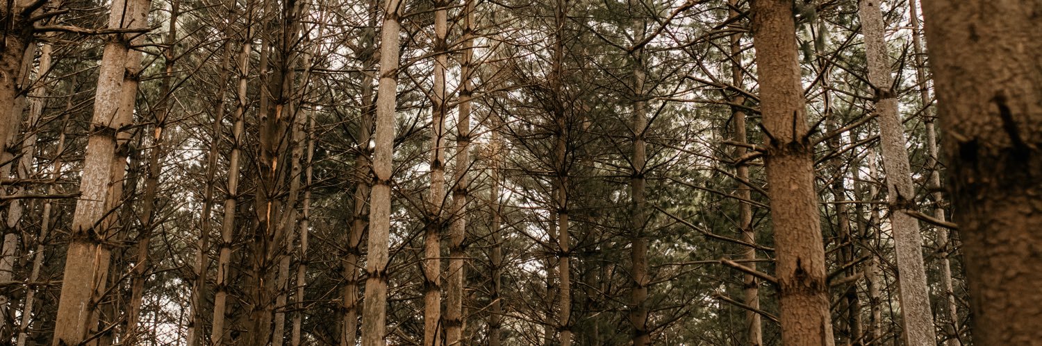cmshoe0526's profile banner image