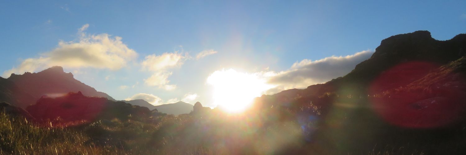 GeorgeGuia's profile banner image
