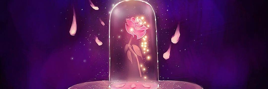 _wikkaw's profile banner image