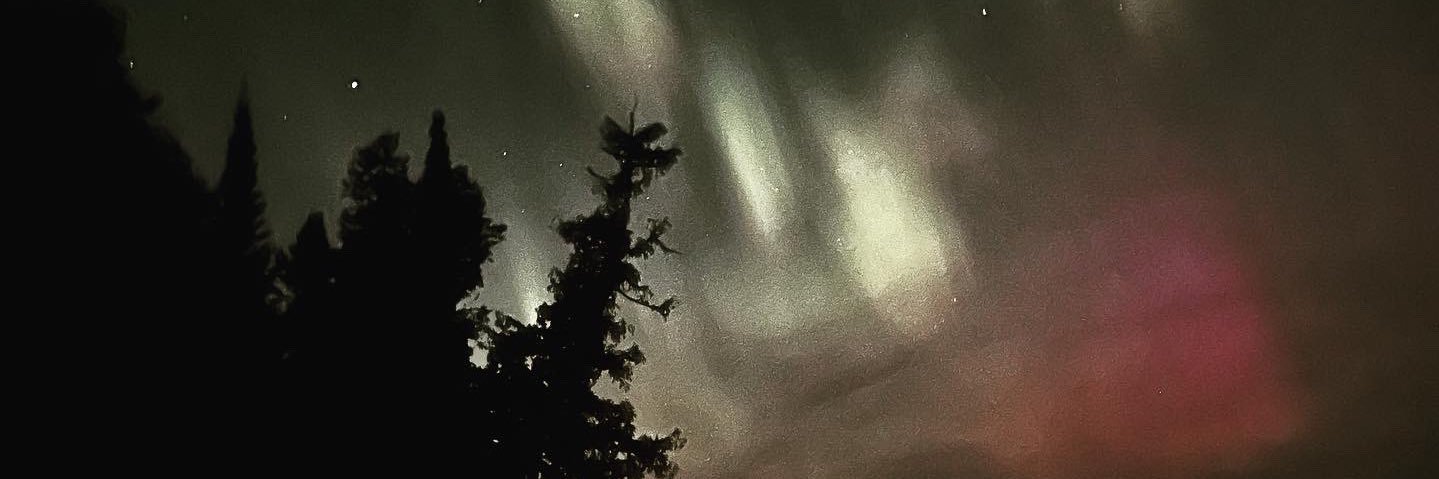 Chris Kaminski banner