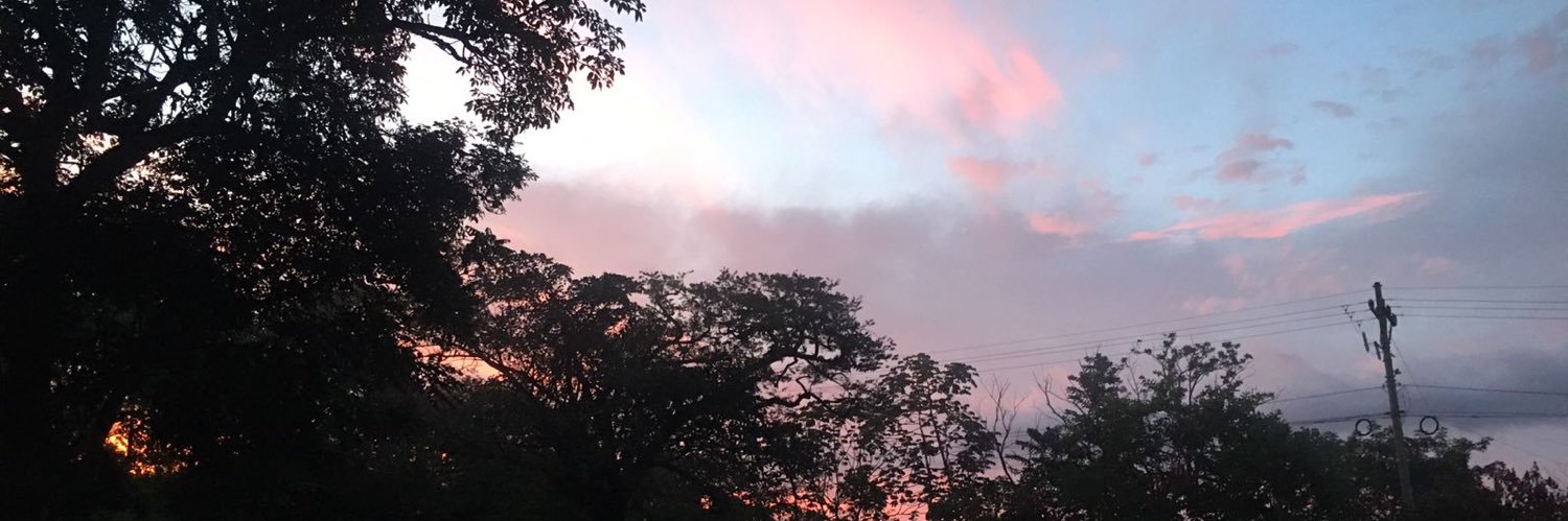 Tranviando's profile banner image
