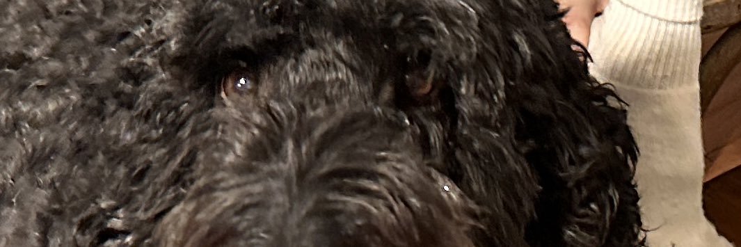 mchoward23's profile banner image