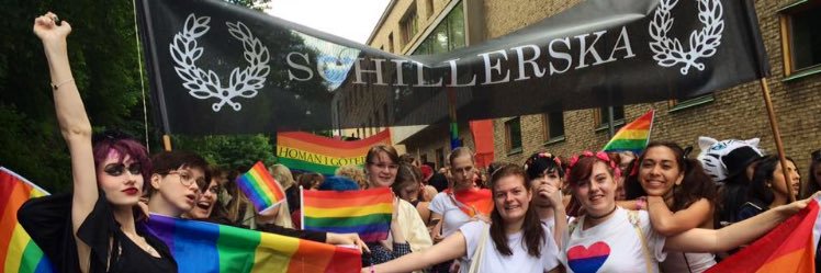 schillelevkar's profile banner image