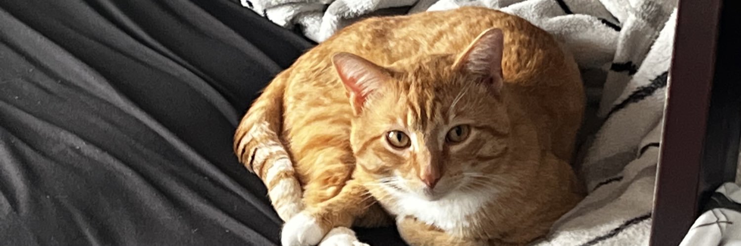 TIP | gOD  ☠ banner